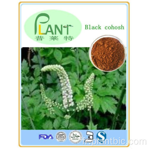 Extrait de cohosh antiviral de soins de santé